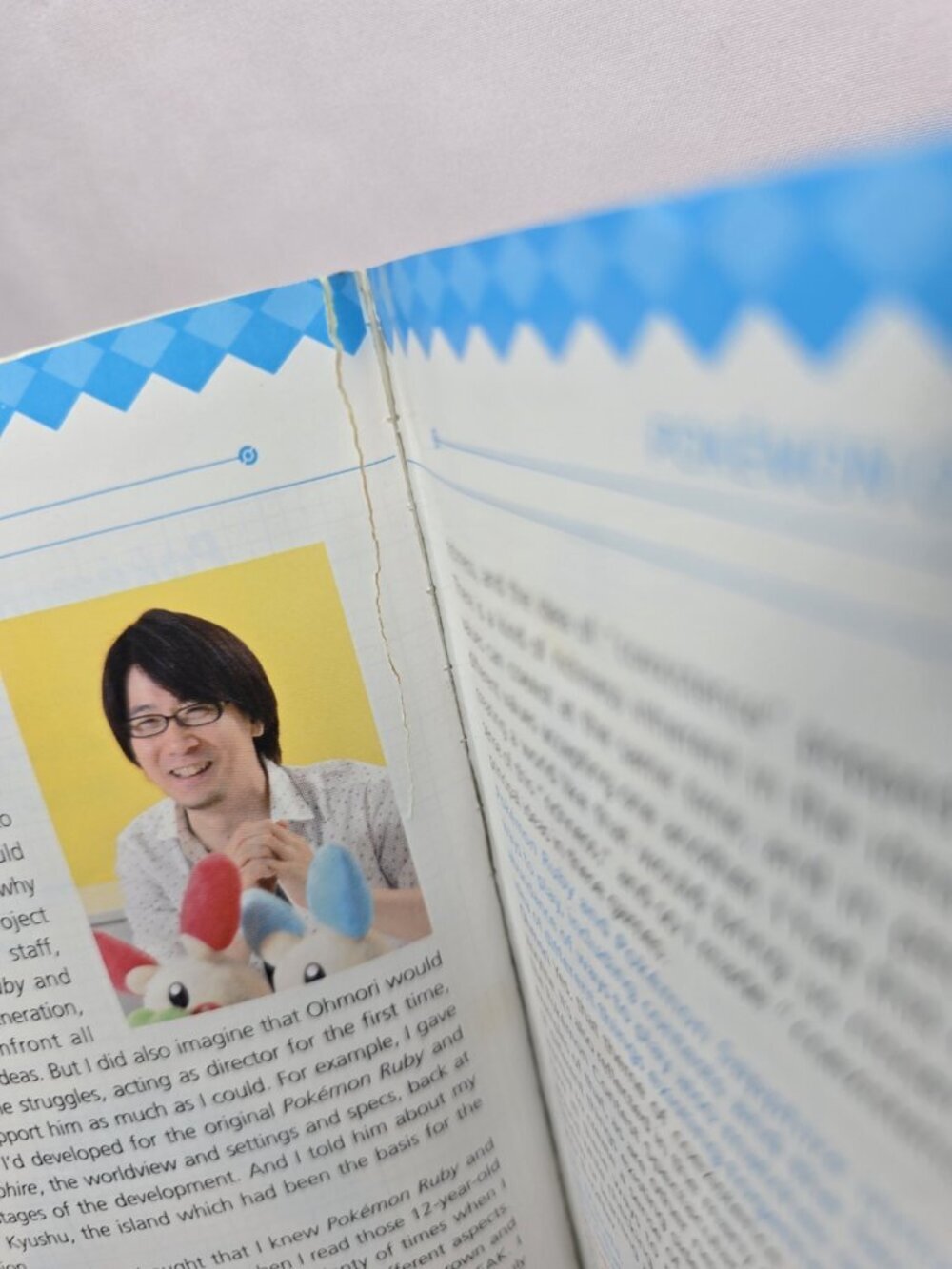 Pokemon Omega Ruby & Alpha Sapphire Official Hoenn Region Strategy Guide Book - Picture 6 of 9